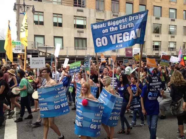 【纽约40万人大游行】呼吁人类吃素！素食风将暴席卷全球！
