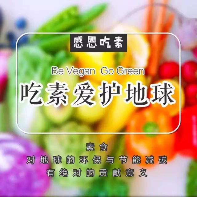 中央电视台宣传《吃素爱护地球》，素食的8大好处！